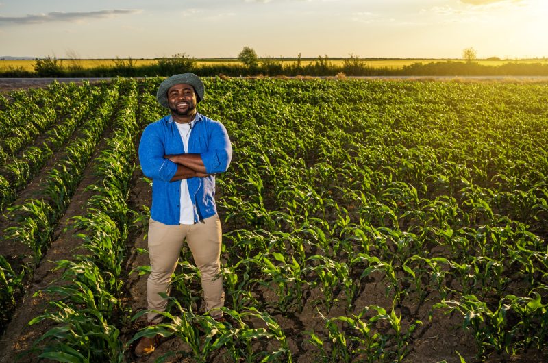 successful-farmer-2025-03-09-00-20-50-utc